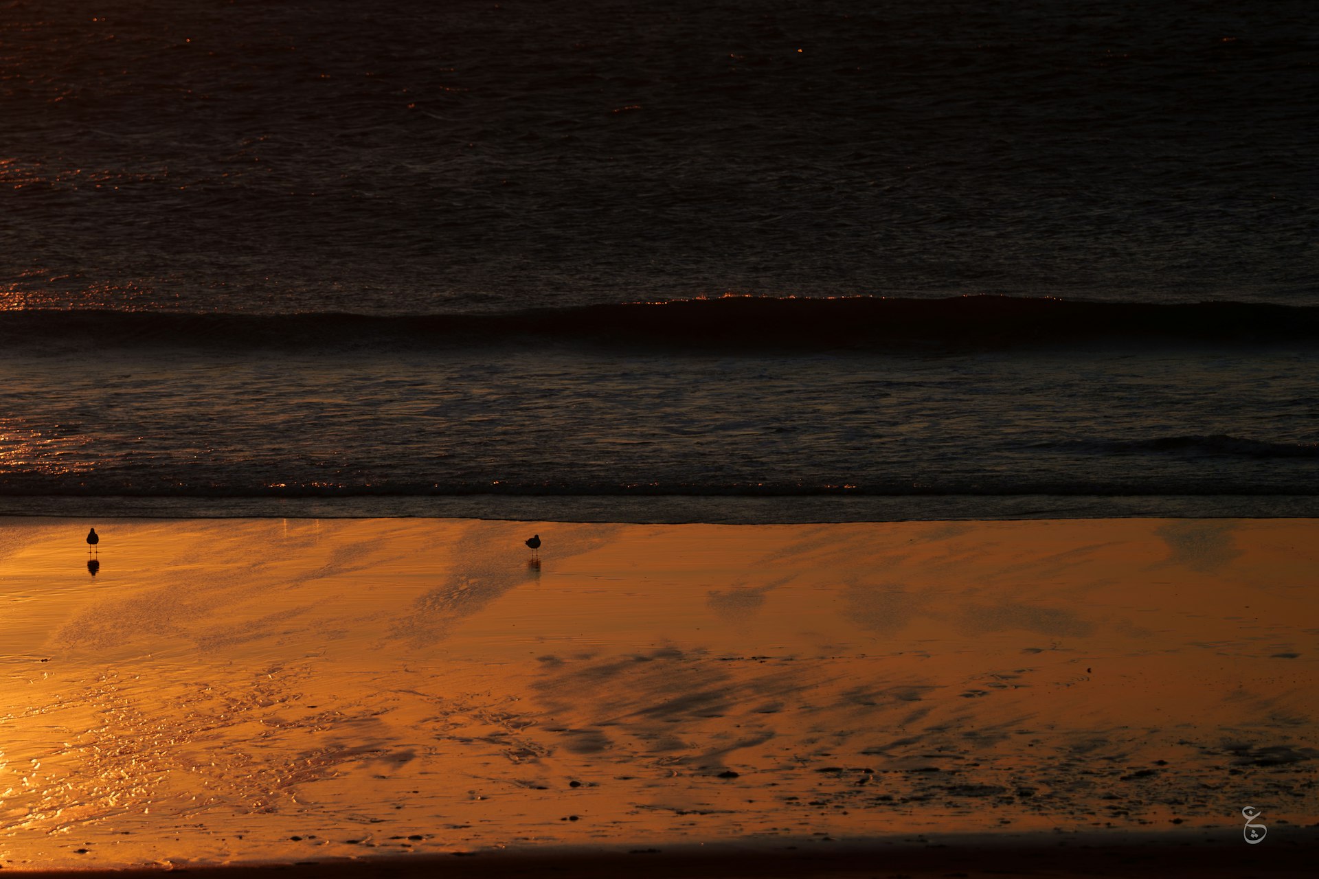 Sunset over the Tangier coastline above the Strait of Gibraltar, hidden viewpoint